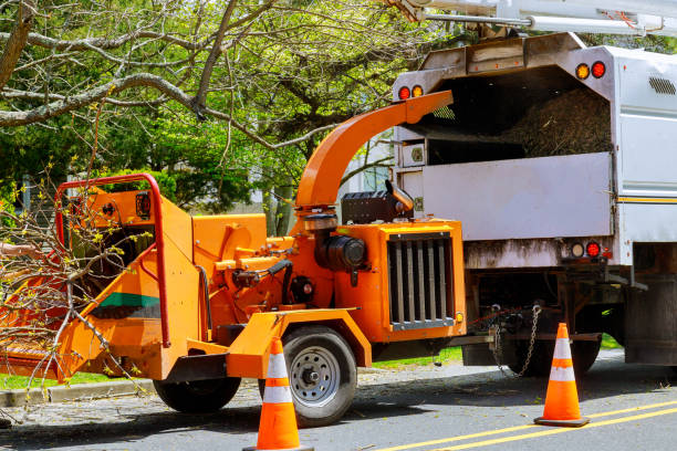 Best Tree Mulching  in Richton Park, IL